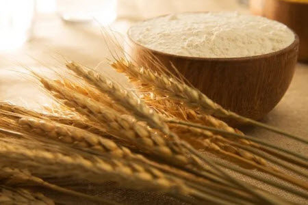 高筑墙广积粮缓称王材料作文800字 关于高筑墙广积粮缓称王的材料作文800字 高筑墙广积粮缓称王材料作文800字 关于高筑墙广积粮缓称王的材料作文800字