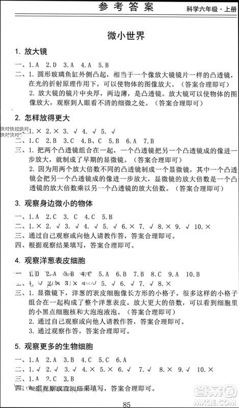 山东科学技术出版社2023年秋新思维伴你学六年级科学上册教科版参考答案