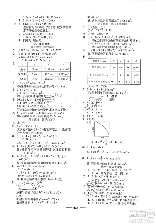 山东科学技术出版社2023年秋新思维伴你学达标测试卷六年级数学上册人教版参考答案