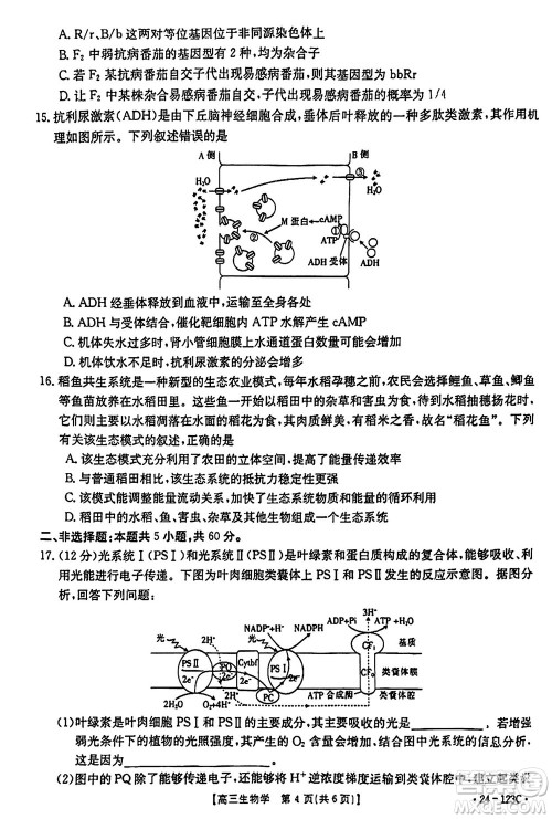 广西金太阳2024届高三上学期11月跨市联合适应性训练检测卷24-123C生物答案