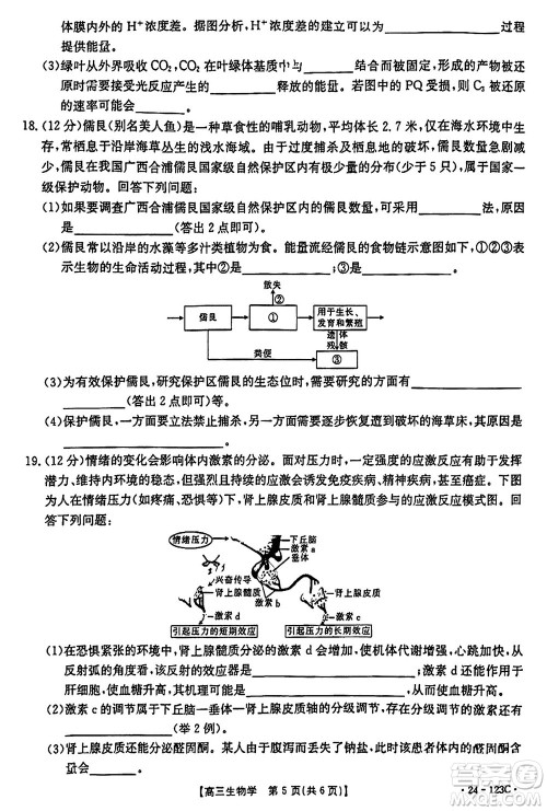 广西金太阳2024届高三上学期11月跨市联合适应性训练检测卷24-123C生物答案