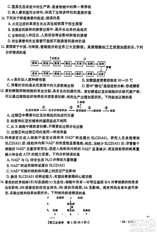 广西金太阳2024届高三上学期11月跨市联合适应性训练检测卷24-123C生物答案