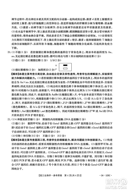 广西金太阳2024届高三上学期11月跨市联合适应性训练检测卷24-123C生物答案