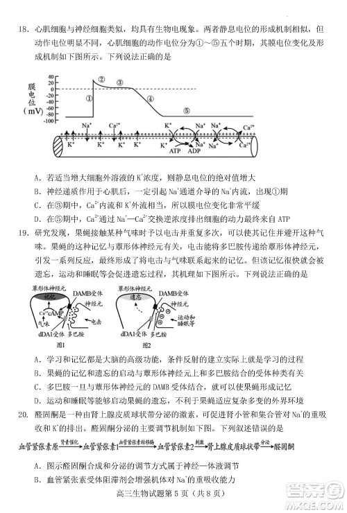 日照2021级高三上学期11月期中校际联合考试生物参考答案 日照2021级高三上学期11月期中校际联合考试生物参考答案