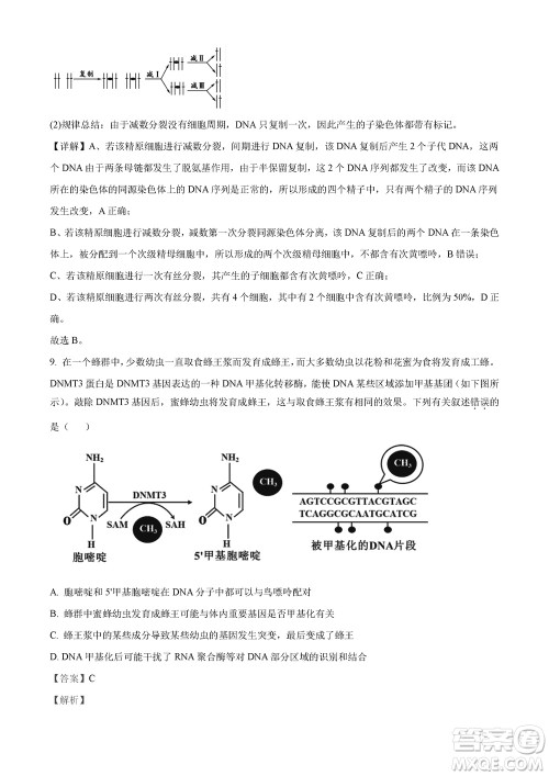 2023年11月湖南岳汨联考高三期中考试生物参考答案 2023年11月湖南岳汨联考高三期中考试生物参考答案