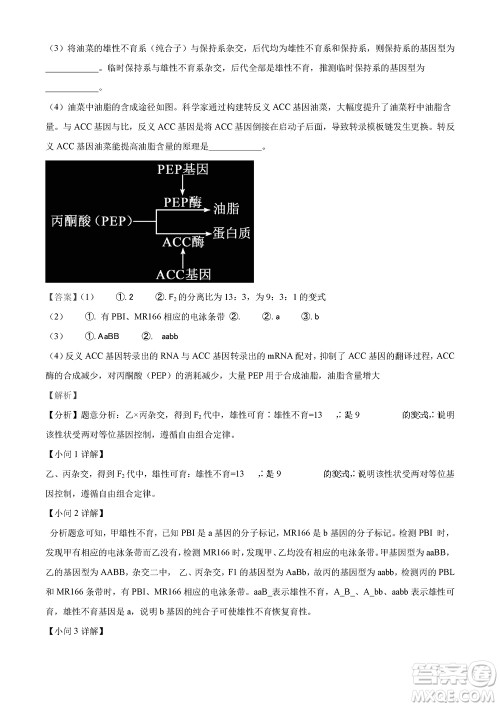 2023年11月湖南岳汨联考高三期中考试生物参考答案