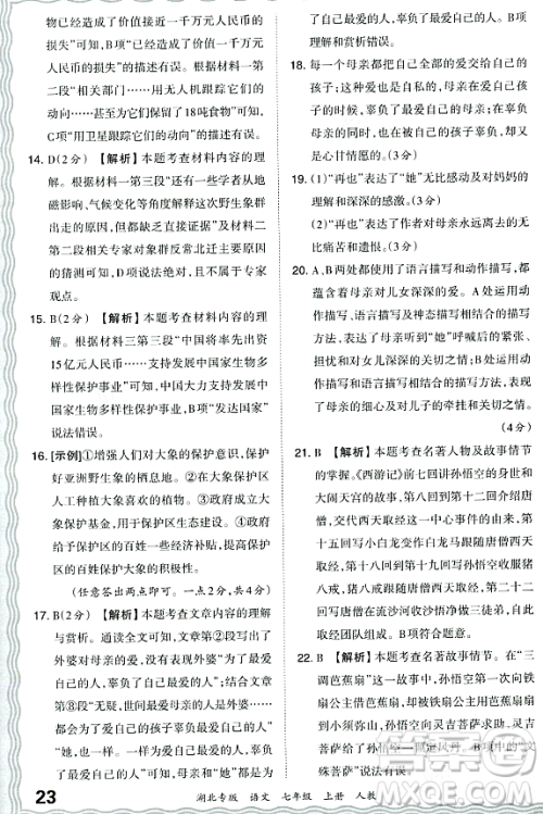 江西人民出版社2023年秋王朝霞各地期末试卷精选七年级语文上册人教版湖北专版答案