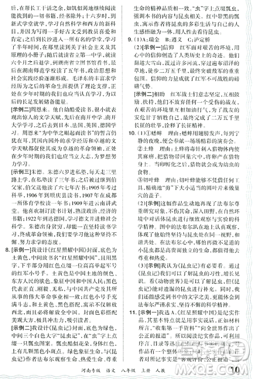 江西人民出版社2023年秋王朝霞各地期末试卷精选八年级语文上册人教版河南专版答案 江西人民出版社2023年秋王朝霞各地期末试卷精选八年级语文上册人教版河南专版答案