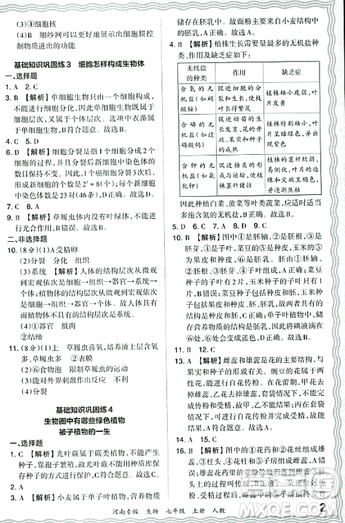 江西人民出版社2023年秋王朝霞各地期末试卷精选七年级生物上册人教版河南专版答案