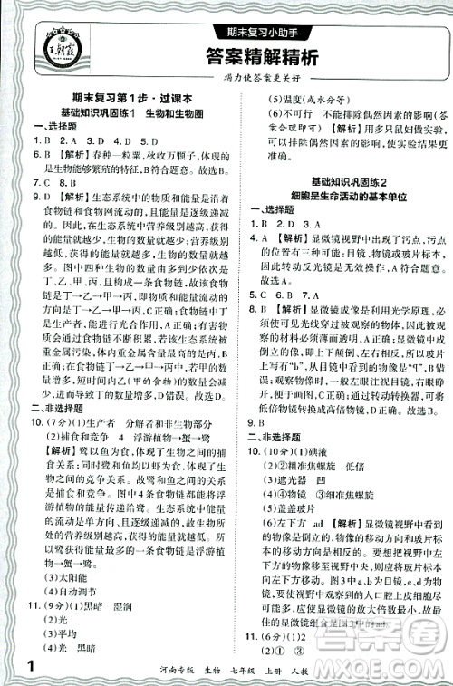 江西人民出版社2023年秋王朝霞各地期末试卷精选七年级生物上册人教版河南专版答案