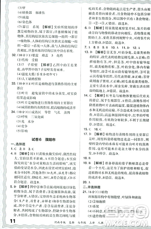 江西人民出版社2023年秋王朝霞各地期末试卷精选七年级生物上册人教版河南专版答案 江西人民出版社2023年秋王朝霞各地期末试卷精选七年级生物上册人教版河南专版答案