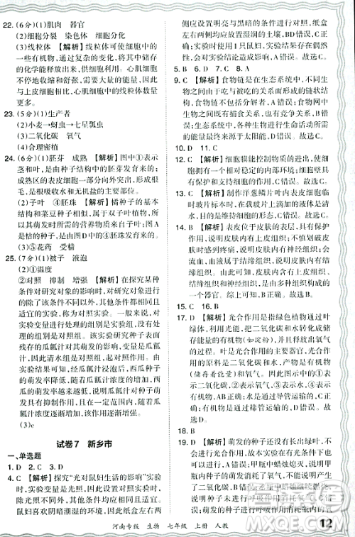 江西人民出版社2023年秋王朝霞各地期末试卷精选七年级生物上册人教版河南专版答案