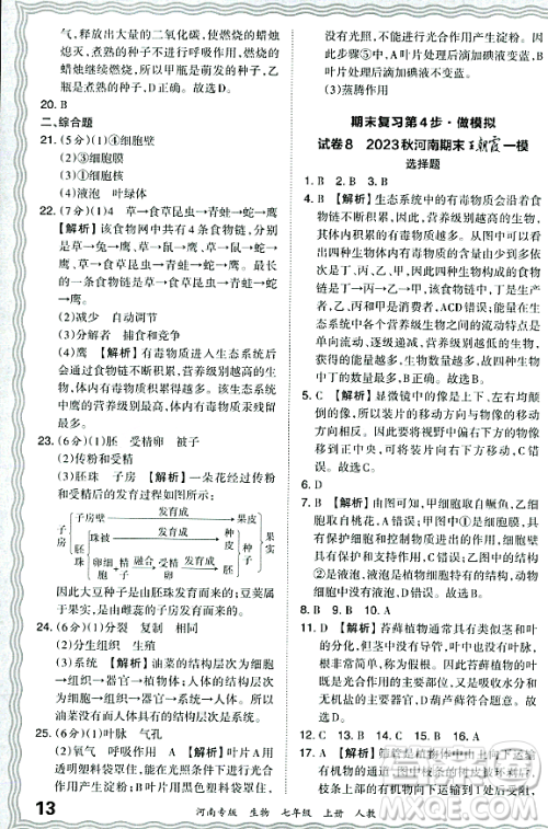 江西人民出版社2023年秋王朝霞各地期末试卷精选七年级生物上册人教版河南专版答案