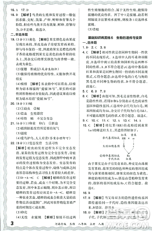 江西人民出版社2023年秋王朝霞各地期末试卷精选八年级生物上册人教版河南专版答案