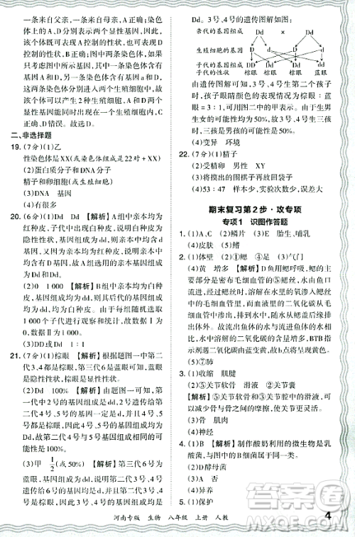 江西人民出版社2023年秋王朝霞各地期末试卷精选八年级生物上册人教版河南专版答案