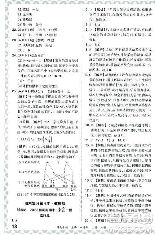 江西人民出版社2023年秋王朝霞各地期末试卷精选八年级生物上册人教版河南专版答案