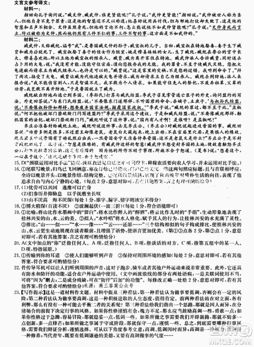 2024届高三上学期11月TOP二十名校调研考试七语文参考答案