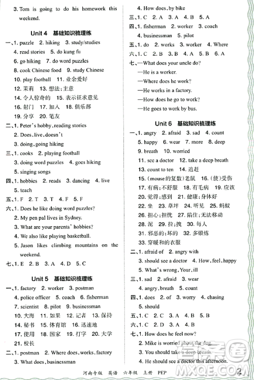 江西人民出版社2023年秋王朝霞各地期末试卷精选六年级英语上册人教PEP版河南专版答案 江西人民出版社2023年秋王朝霞各地期末试卷精选六年级英语上册人教PEP版河南专版答案