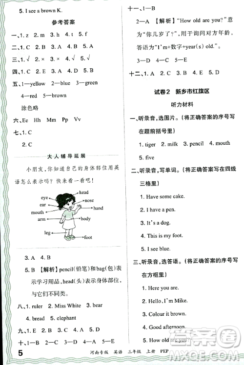 江西人民出版社2023年秋王朝霞各地期末试卷精选三年级英语上册人教PEP版河南专版答案