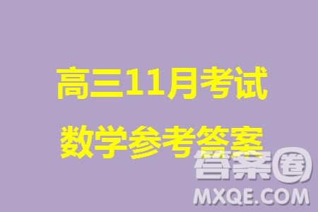 2024届高三上学期11月TOP二十名校调研考试七数学参考答案