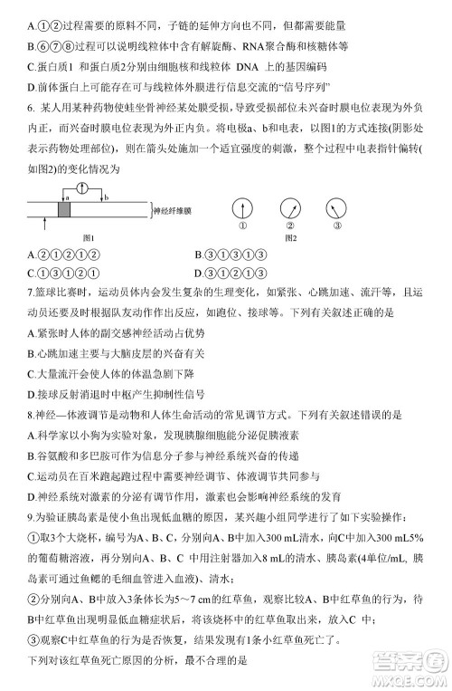 湖南天一大联考2024届高三上学期11月第三次生物参考答案