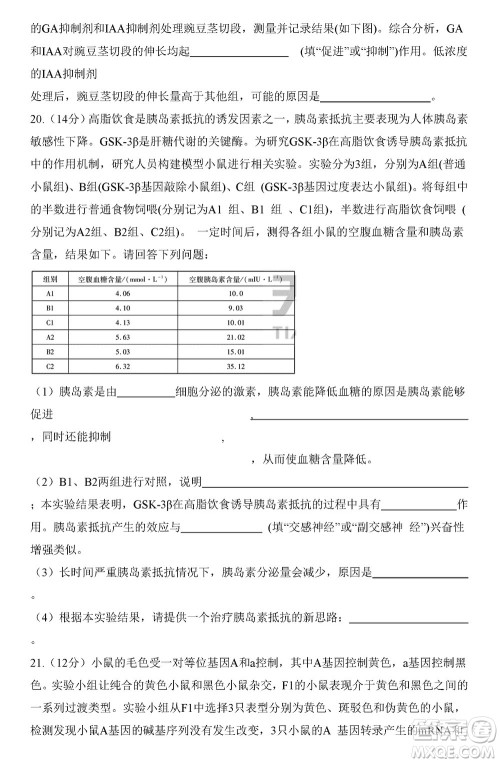 湖南天一大联考2024届高三上学期11月第三次生物参考答案