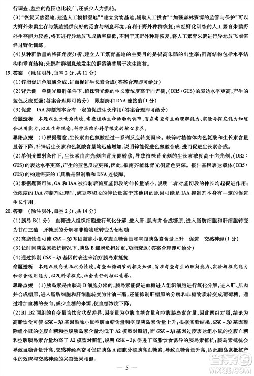 湖南天一大联考2024届高三上学期11月第三次生物参考答案