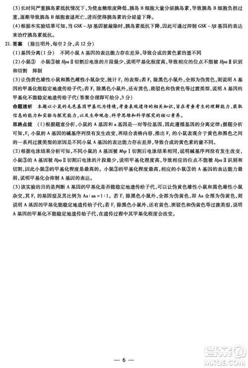 湖南天一大联考2024届高三上学期11月第三次生物参考答案