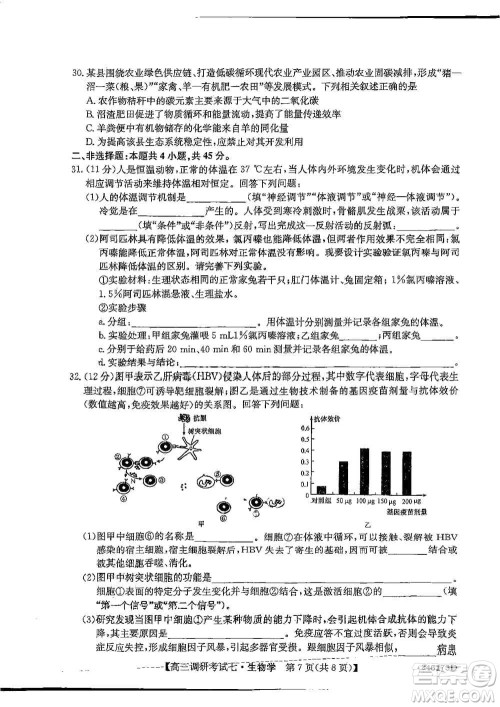 2024届高三上学期11月TOP二十名校调研考试七生物参考答案