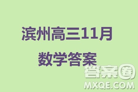 滨州市2024届高三上学期11月学科质量检测数学参考答案