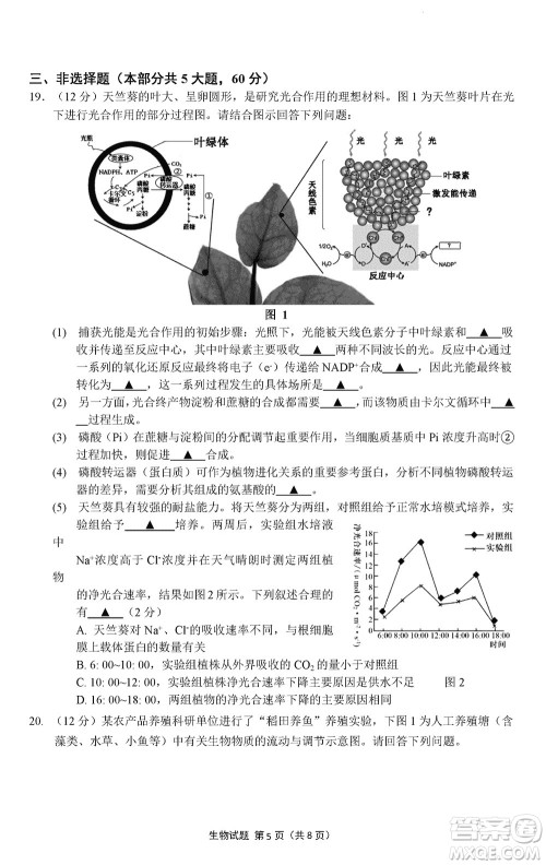 南京市六校联合调研2023-2024学年高三上学期11月期中考试生物答案