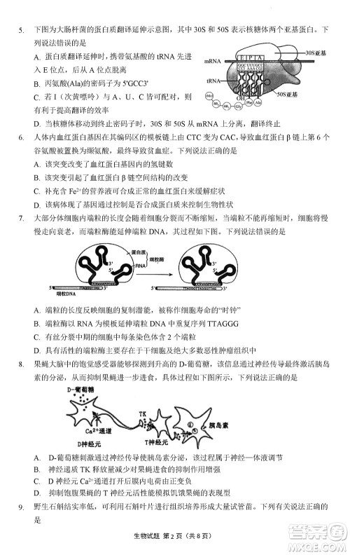 南京市六校联合调研2023-2024学年高三上学期11月期中考试生物答案