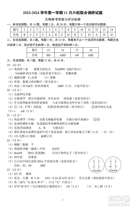 南京市六校联合调研2023-2024学年高三上学期11月期中考试生物答案