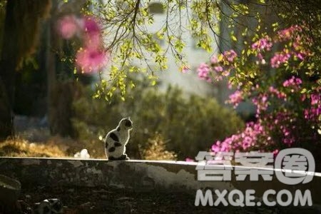 ___温暖了我的岁月为题作文600字 关于___温暖了我的岁月为题的作文600字