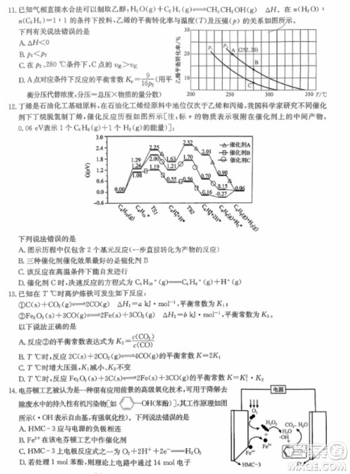 九师联盟2024届高三上学期11月质量检测W化学参考答案