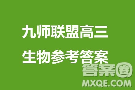 九师联盟2024届高三上学期11月质量检测LY生物参考答案