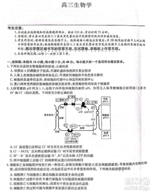 九师联盟2024届高三上学期11月质量检测LY生物参考答案