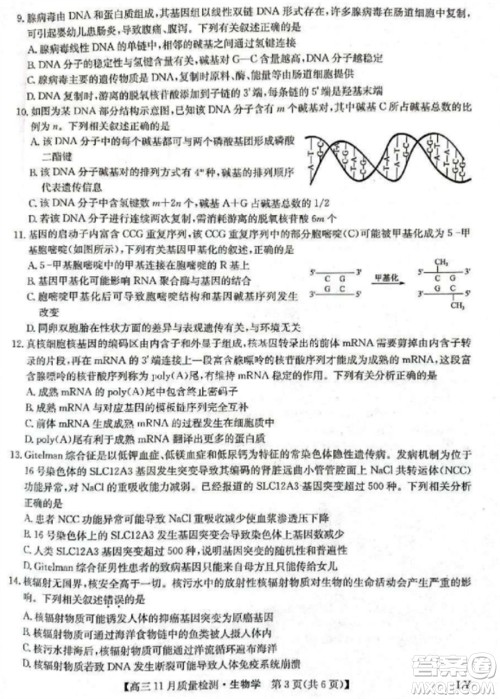 九师联盟2024届高三上学期11月质量检测LY生物参考答案