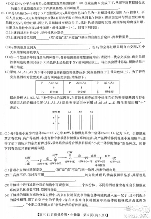 九师联盟2024届高三上学期11月质量检测LY生物参考答案