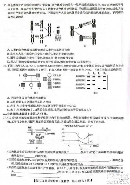 九师联盟2024届高三上学期11月质量检测LY生物参考答案