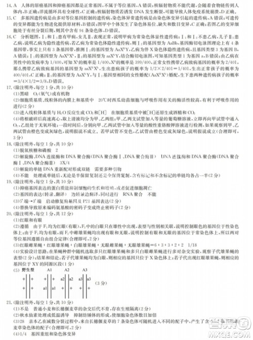 九师联盟2024届高三上学期11月质量检测LY生物参考答案