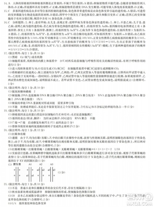 九师联盟2024届高三上学期11月质量检测LY生物参考答案