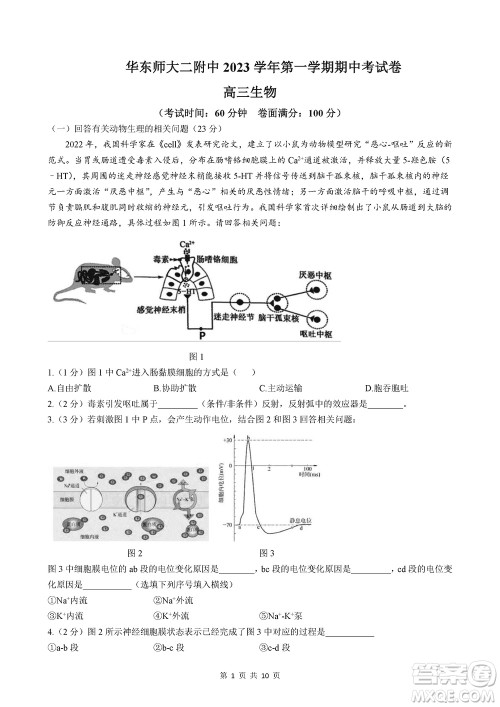 2024届上海华二附中高三上学期11月期中考试生物参考答案