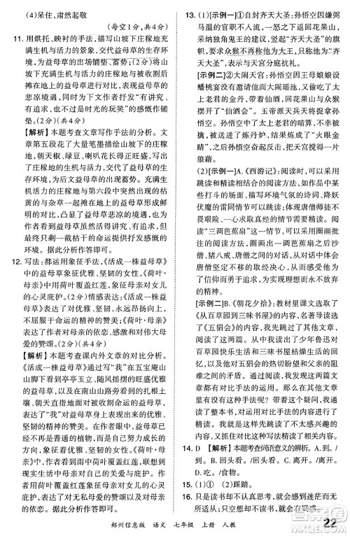 江西人民出版社2023年秋王朝霞期末真题精编七年级语文上册人教版河南专版答案 江西人民出版社2023年秋王朝霞期末真题精编七年级语文上册人教版河南专版答案