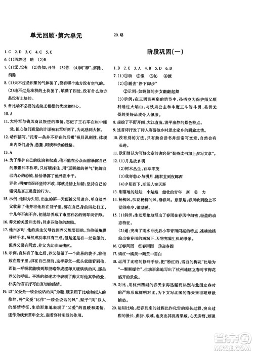 新疆青少年出版社2023年秋优学1+1评价与测试七年级语文上册通用版答案 新疆青少年出版社2023年秋优学1+1评价与测试七年级语文上册通用版答案