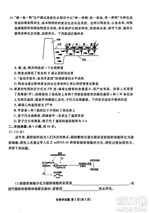 广东衡水金卷2024届高三上学期11月联考生物参考答案 广东衡水金卷2024届高三上学期11月联考生物参考答案