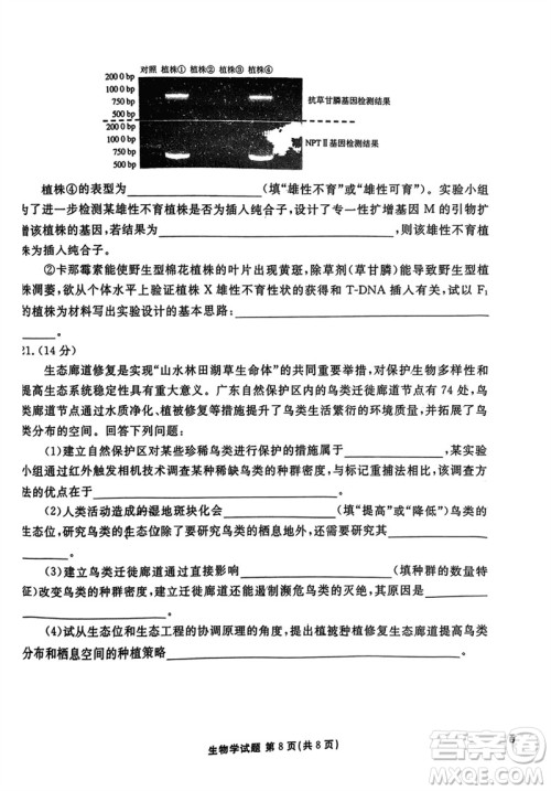 广东衡水金卷2024届高三上学期11月联考生物参考答案 广东衡水金卷2024届高三上学期11月联考生物参考答案
