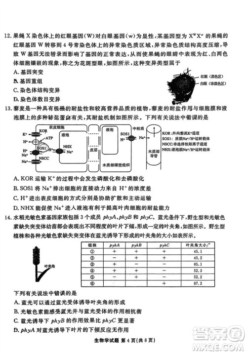 广东衡水金卷2024届高三上学期11月联考生物参考答案