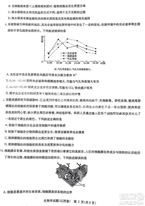 华大新高考联盟2024届高三11月教学质量测评江西卷生物参考答案