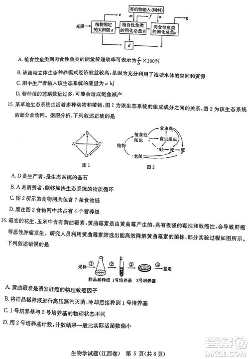 华大新高考联盟2024届高三11月教学质量测评江西卷生物参考答案